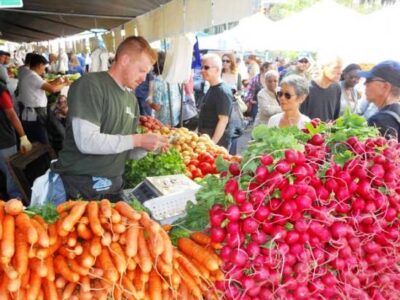 Vitamin P: Tapping the Power of Place to Keep Us All Healthy Image